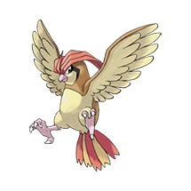 Pokemon #017